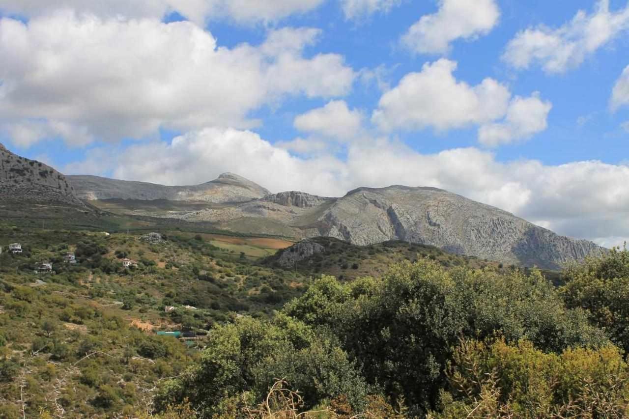 Casa Rural El Chaparro Ел Чоро Екстериор снимка