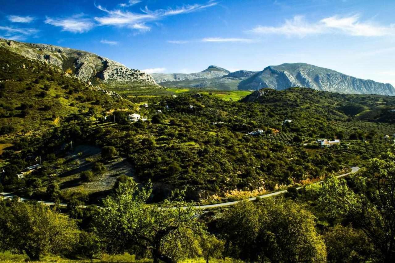 Casa Rural El Chaparro Ел Чоро Екстериор снимка